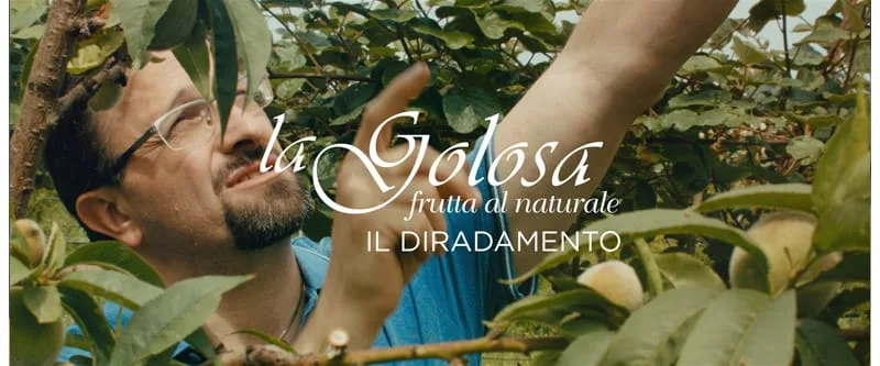 Video Il diradamento La Golosa - frutta al naturale