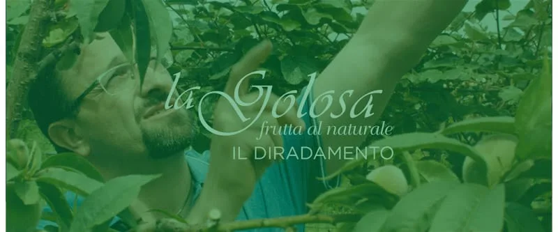 Video Il diradamento La Golosa - frutta al naturale - hover