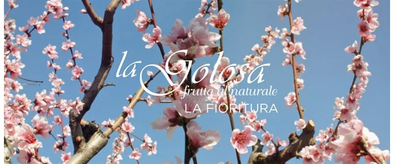 Video La Fioritura La Golosa - frutta al naturale
