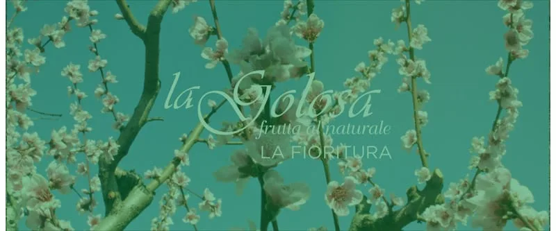 Video La Fioritura La Golosa - frutta al naturale - hover
