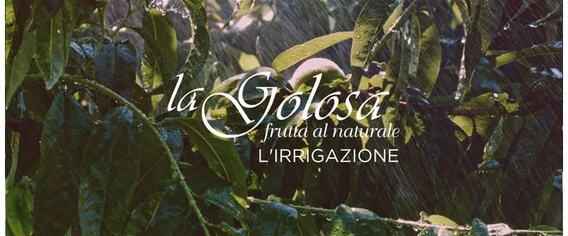 Video L'irrigazione La Golosa - frutta al naturale