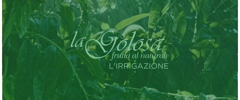 Video L'irrigazione La Golosa - frutta al naturale - hover