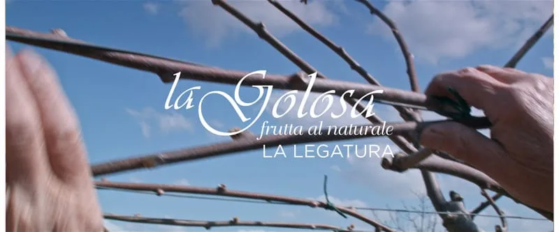 Video La Legatura La Golosa - frutta al naturale