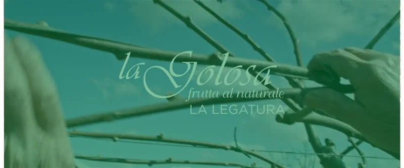 Video La Legatura La Golosa - frutta al naturale - hover