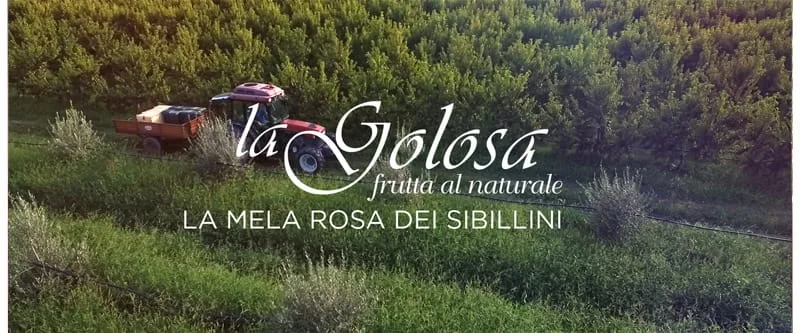 Video La Mela Rosa dei Monti Sibillini La Golosa - frutta al naturale