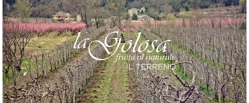 Video Il Terreno La Golosa - frutta al naturale