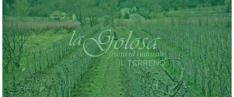 Video Il Terreno La Golosa - frutta al naturale - hover